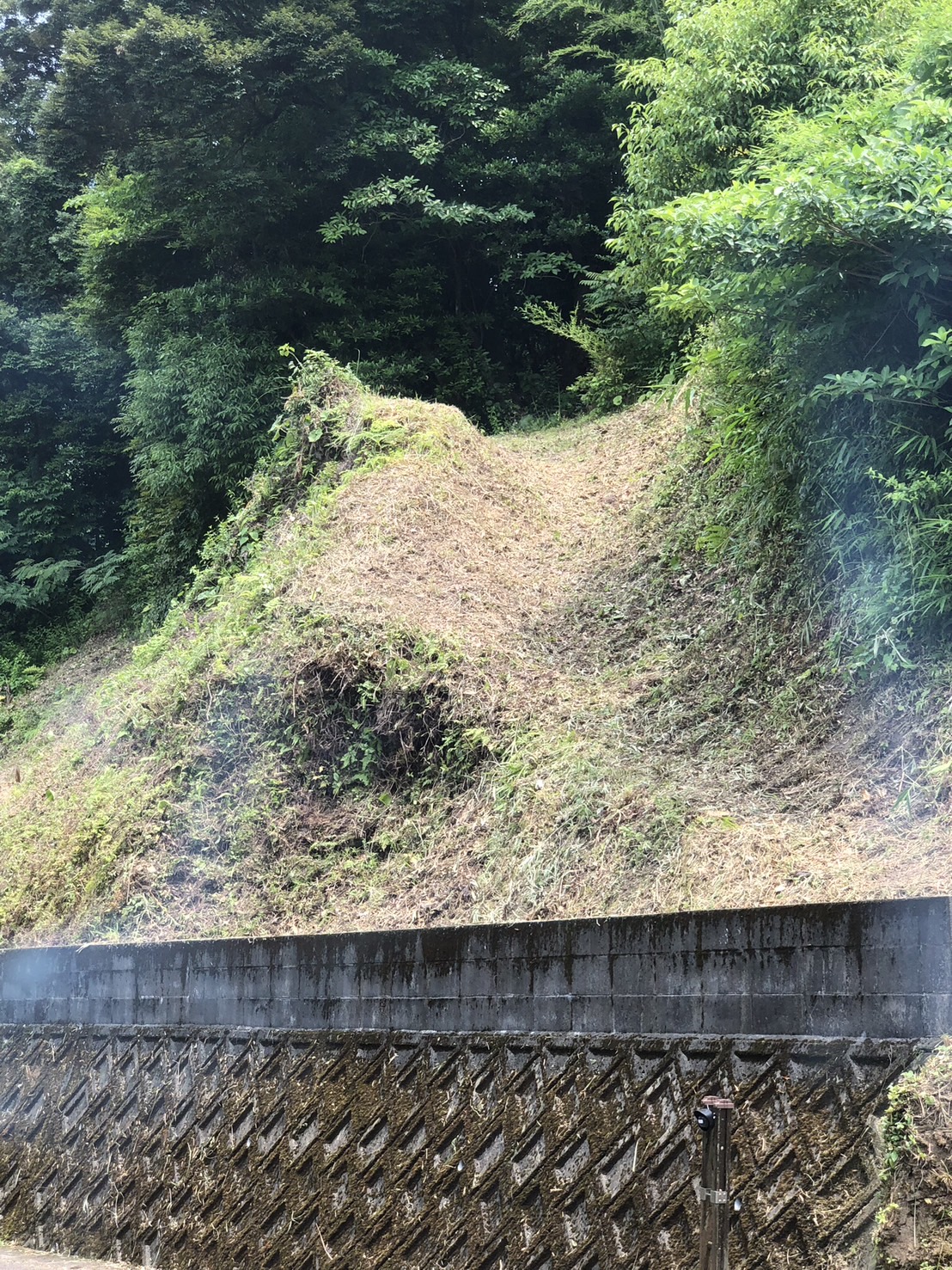 令和７年　７月上旬