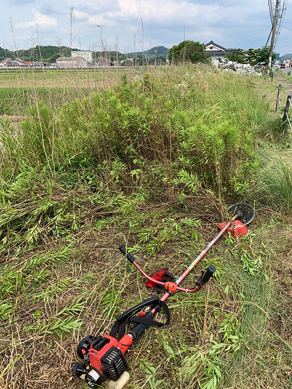 令話元年6月作業