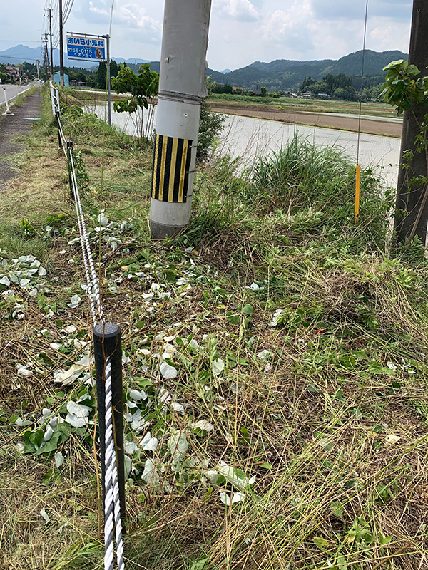 令話元年6月作業