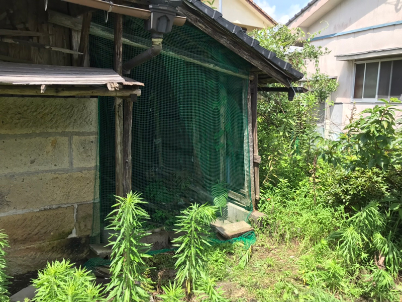 鹿児島県姶良市蒲生町にて、ご依頼が御座いました。