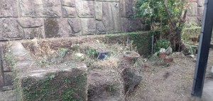 20220720_img006
