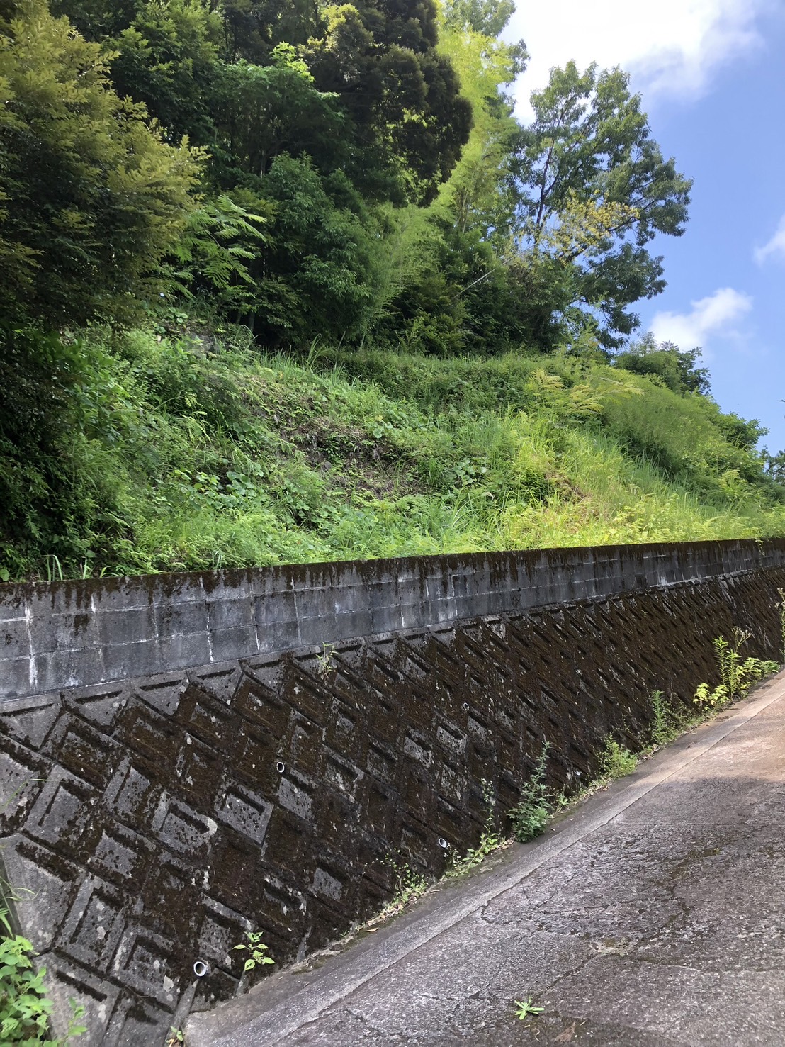 令和7年 7月上旬