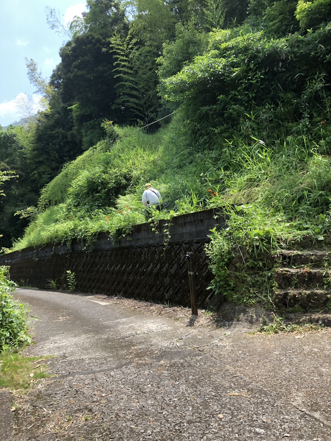 令和7年 7月上旬