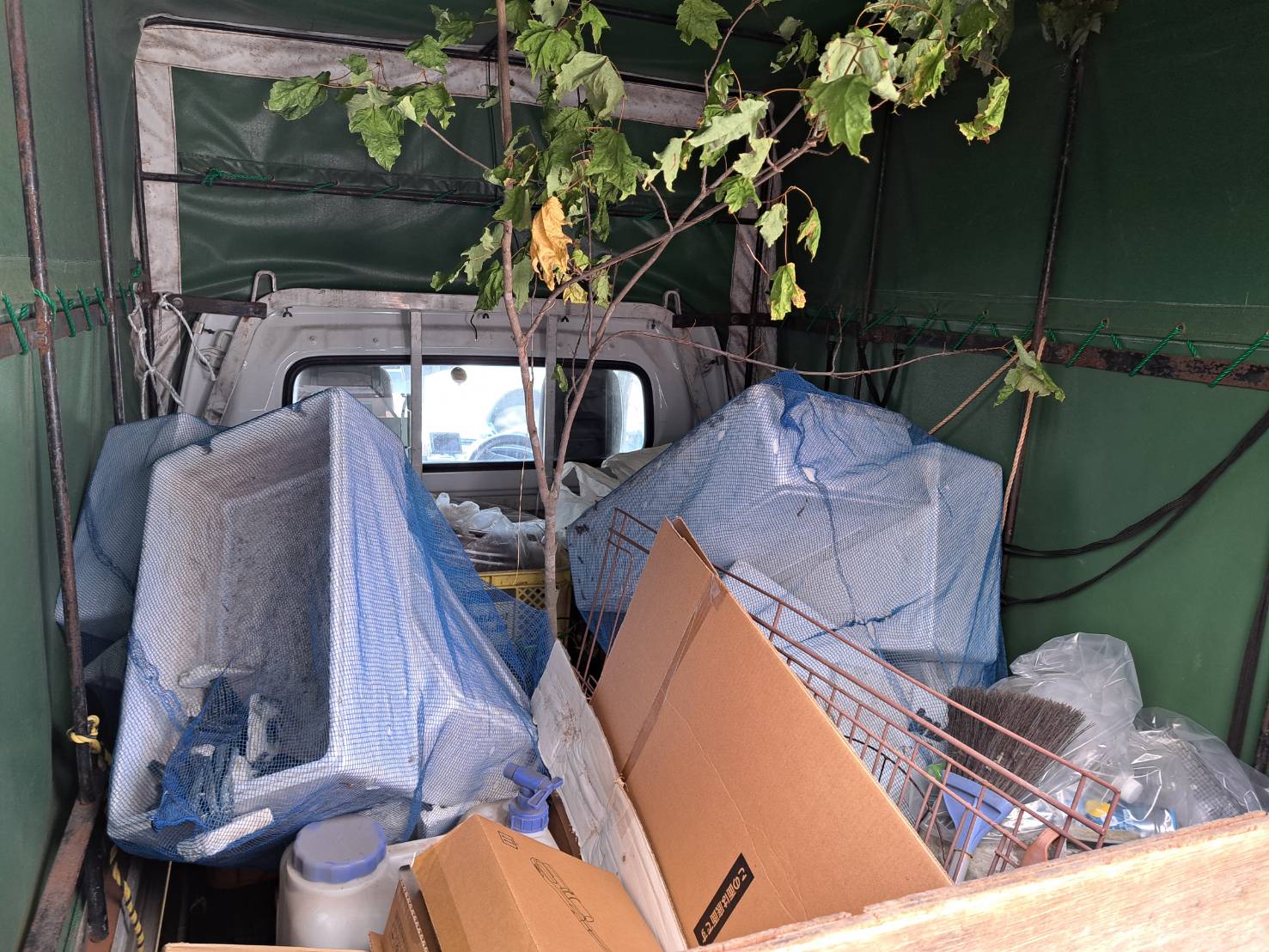 令和７年　１１月中旬