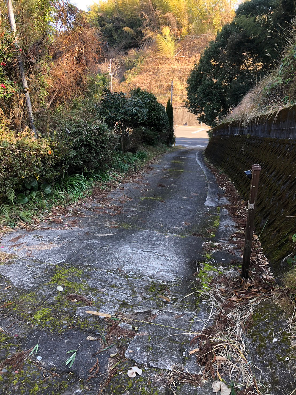 令和７年　１２月下旬