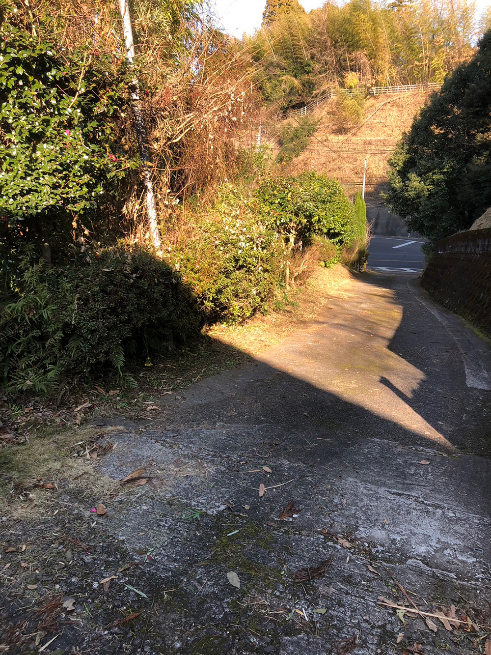 令和７年　１２月下旬