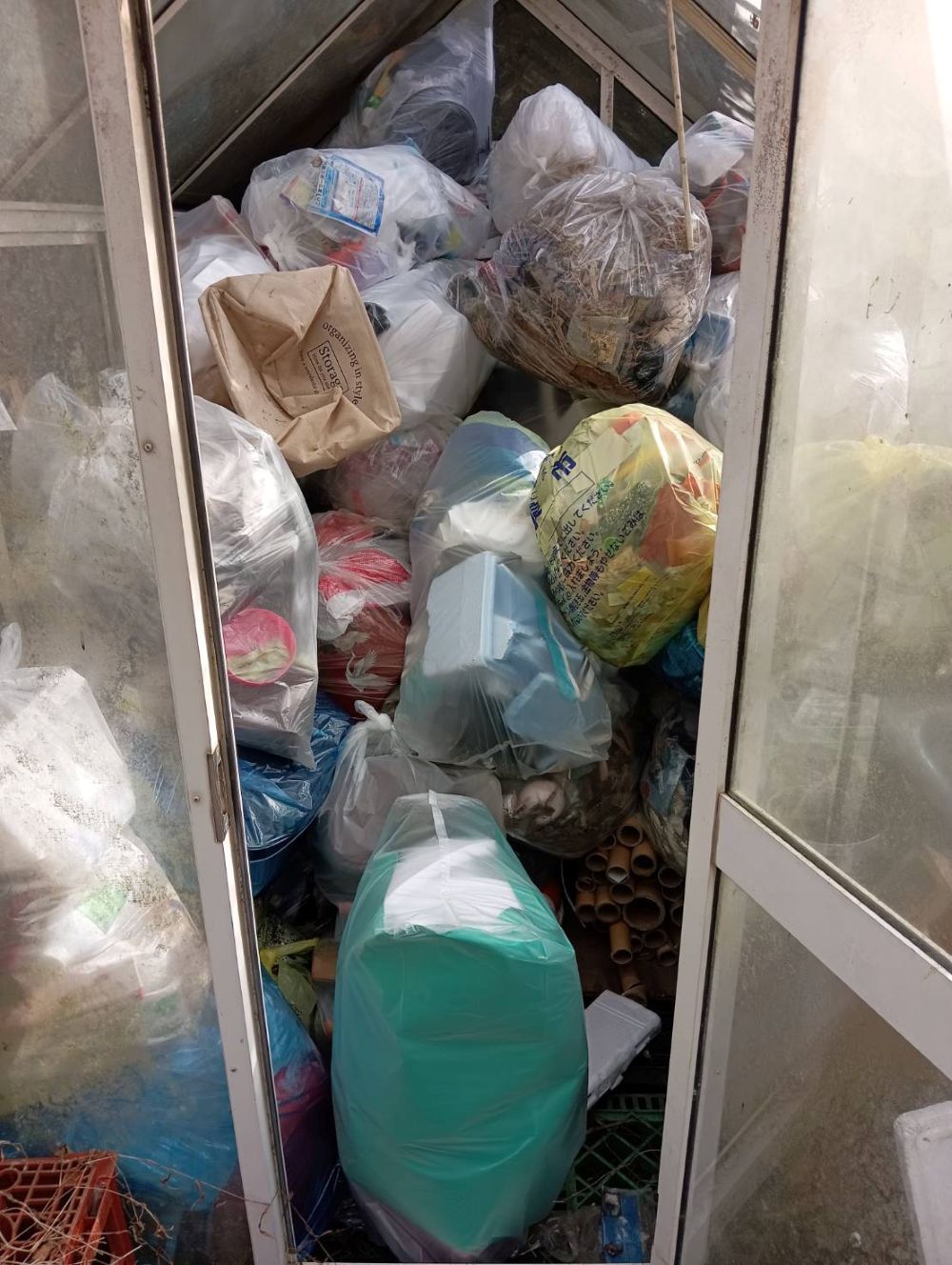 令和８年　１月中旬