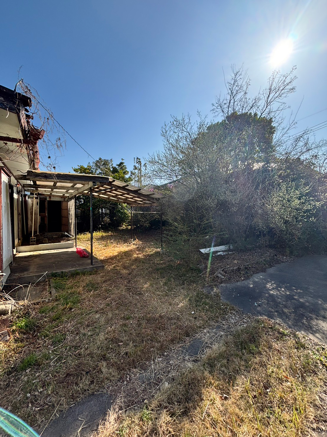 令和８年　３月上旬