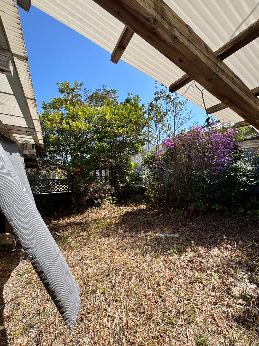 令和８年　３月上旬