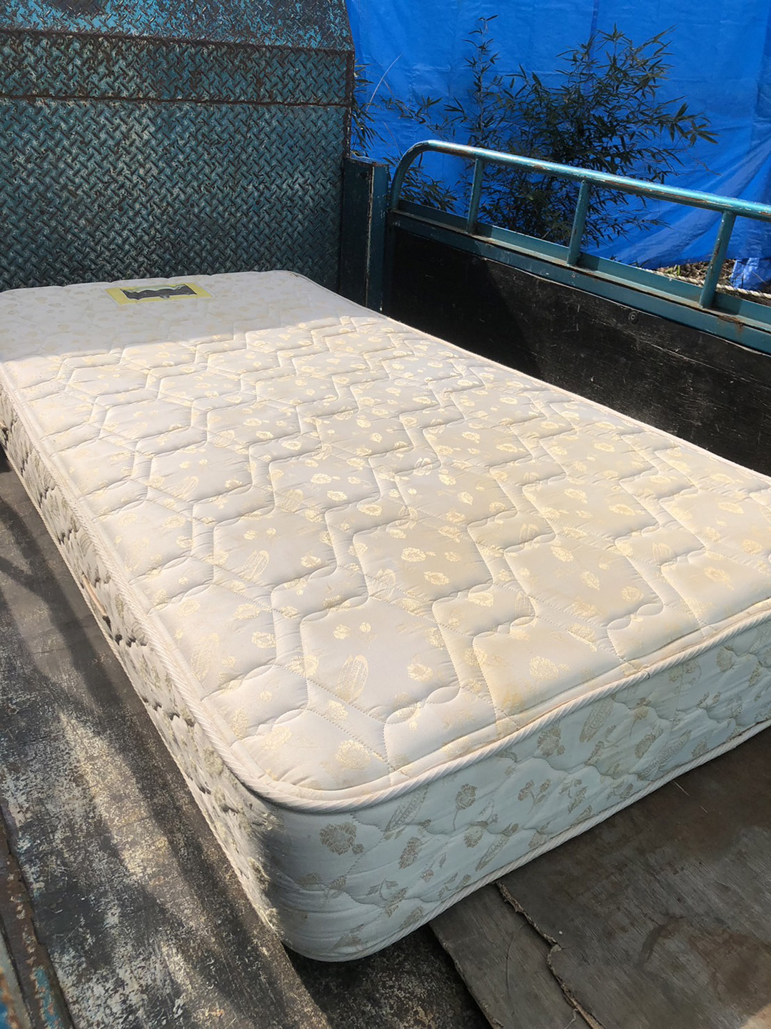 令和８年　３月中旬