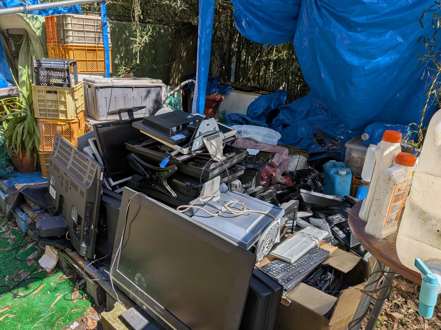 令和８年　４月中旬