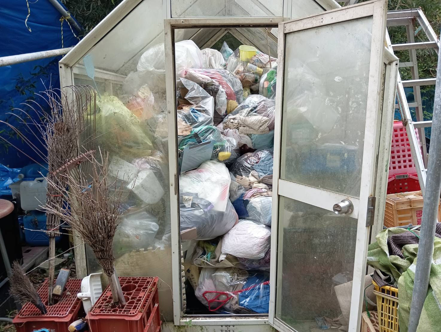 令和８年　４月中旬