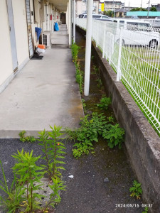 240527_003