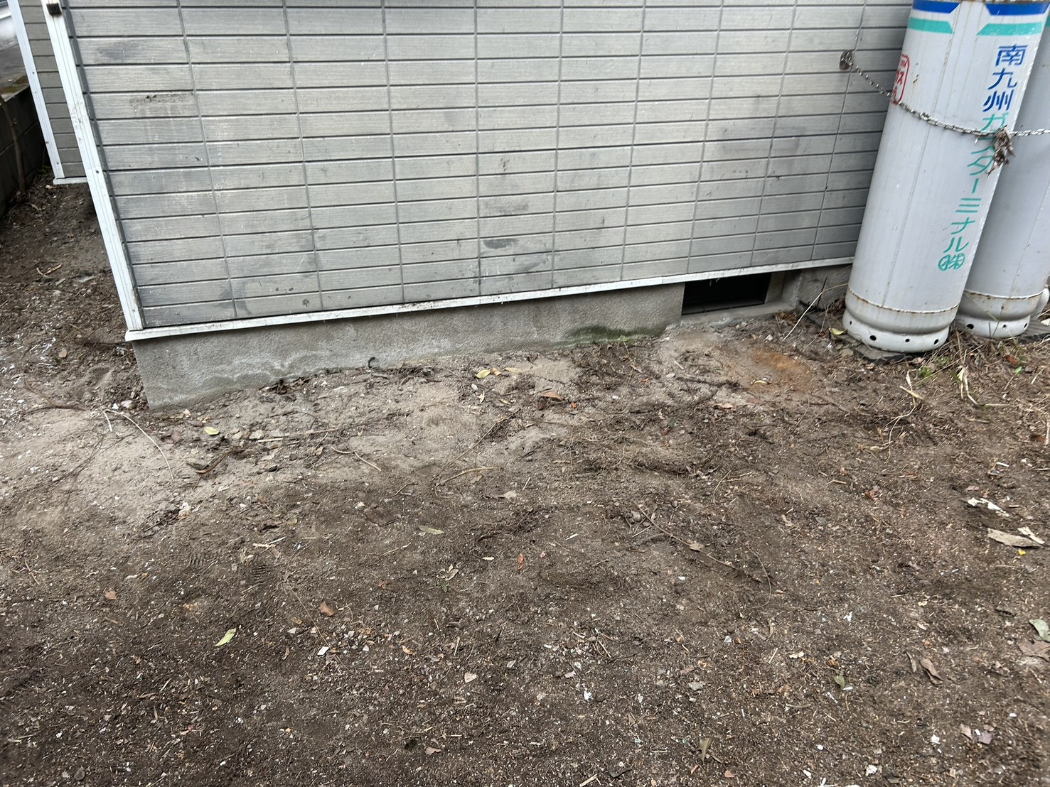 令和８年　２月下旬