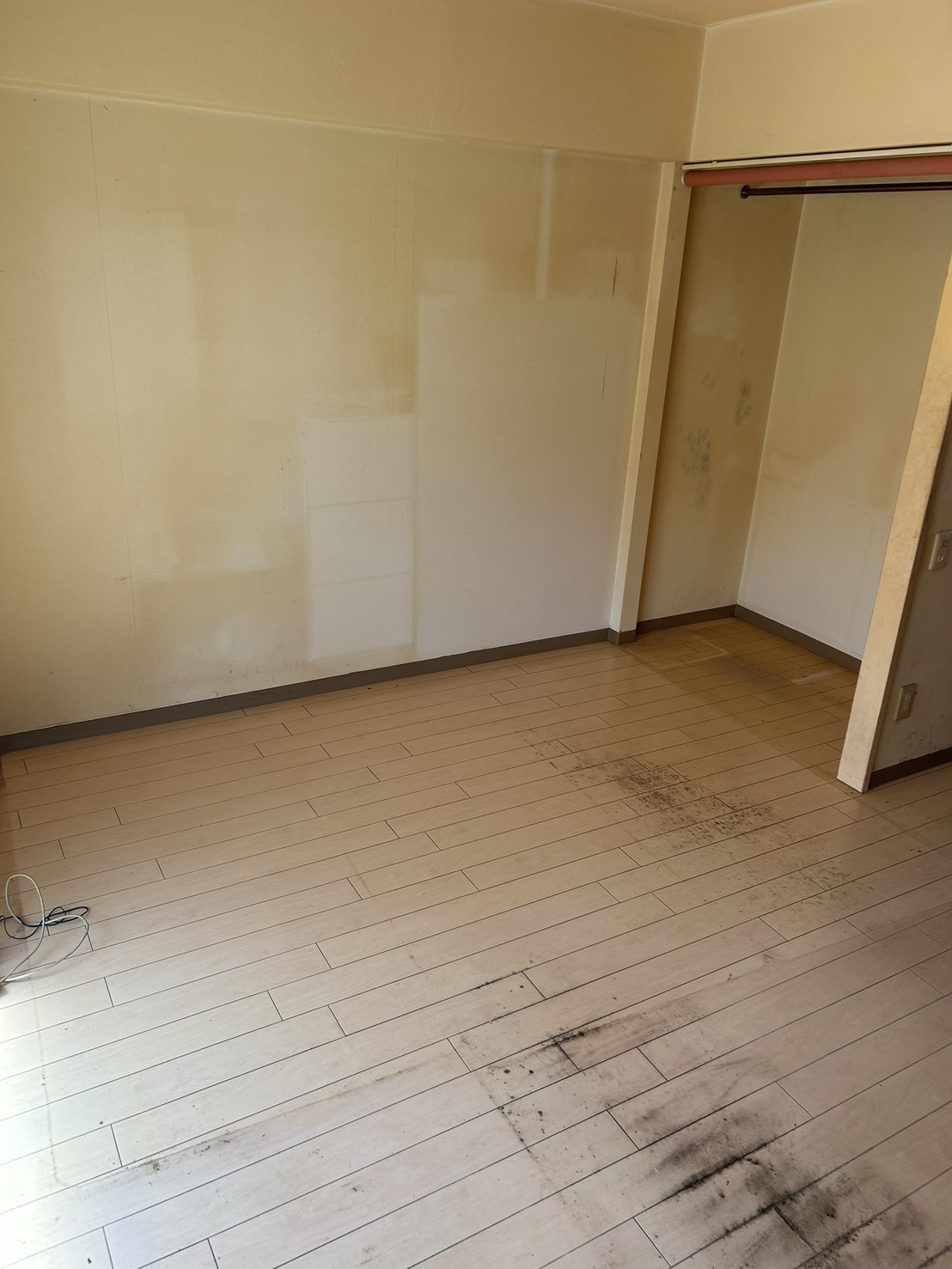 令和８年　３月中旬