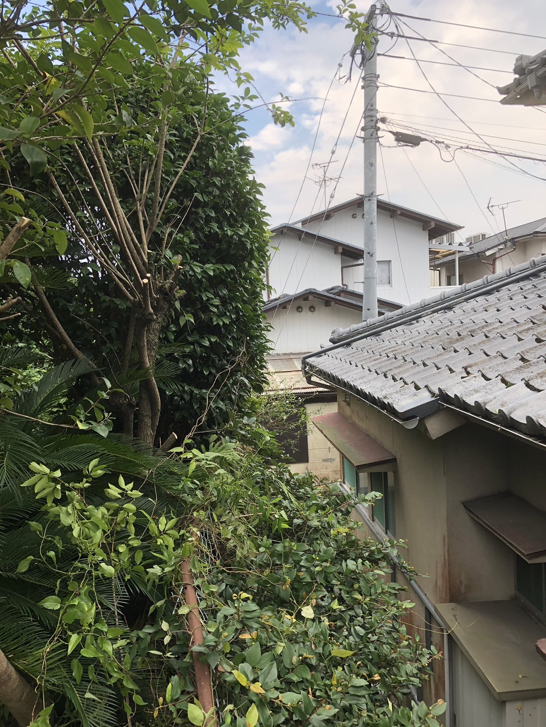令和７年　８月下旬