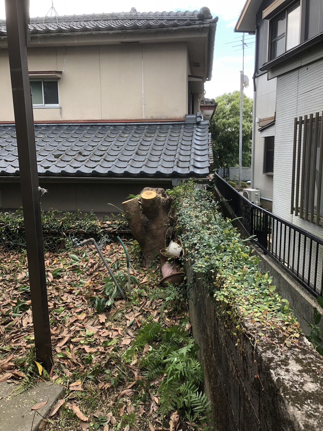 令和７年　８月下旬